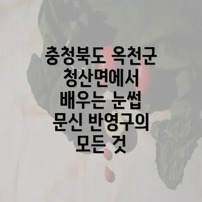 충청북도 옥천군 청산면에서 배우는 눈썹 문신 반영구의 모든 것