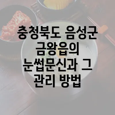 충청북도 음성군 금왕읍의 눈썹문신과 그 관리 방법