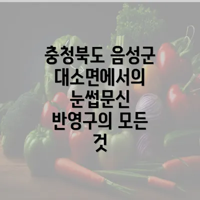 충청북도 음성군 대소면에서의 눈썹문신 반영구의 모든 것