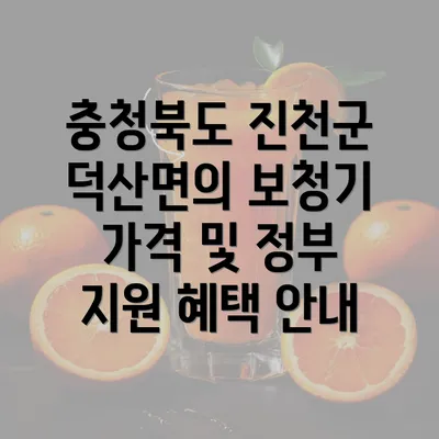 충청북도 진천군 덕산면의 보청기 가격 및 정부 지원 혜택 안내