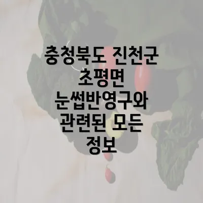 충청북도 진천군 초평면 눈썹반영구와 관련된 모든 정보