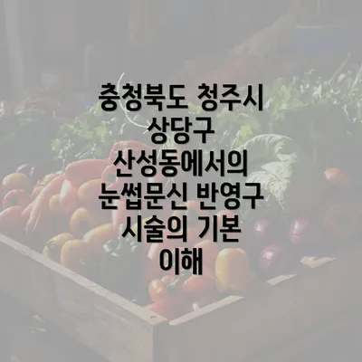 충청북도 청주시 상당구 산성동 눈썹문신 반영구 서비스에 대한 모든 것