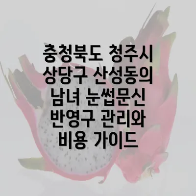 충청북도 청주시 상당구 산성동의 남녀 눈썹문신 반영구 관리와 비용 가이드