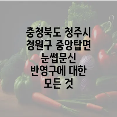 충청북도 청주시 청원구 중앙탑면 눈썹문신 반영구에 대한 모든 것