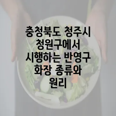 충청북도 청주시 청원구에서 시행하는 반영구 화장 종류와 원리