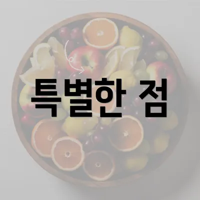 특별한 점