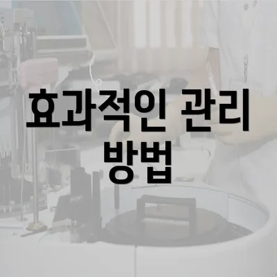 효과적인 관리 방법