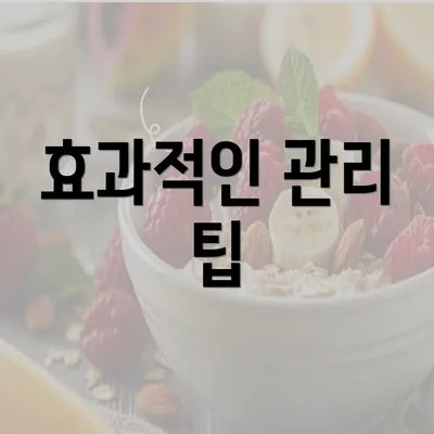 효과적인 관리 팁