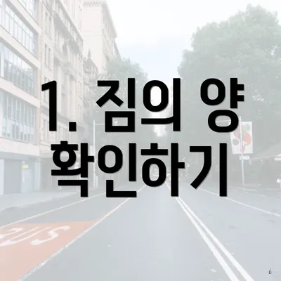 1. 짐의 양 확인하기