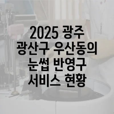 2025 광주 광산구 우산동의 눈썹 반영구 서비스 현황