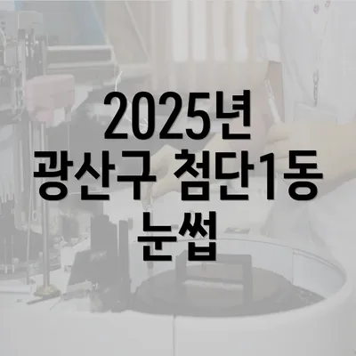 2025년 광산구 첨단1동 눈썹