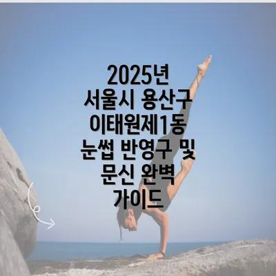 2025년 서울시 용산구 이태원제1동 눈썹 반영구 및 문신 완벽 가이드