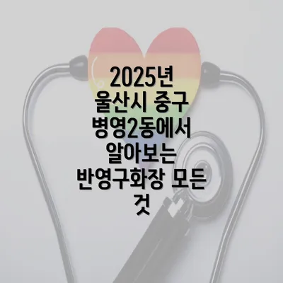 2025년 울산시 중구 병영2동에서 알아보는 반영구화장 모든 것