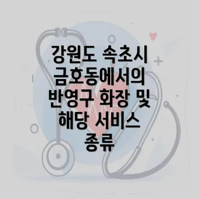 강원도 속초시 금호동에서의 반영구 화장 및 해당 서비스 종류