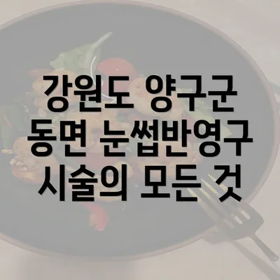 강원도 양구군 동면 눈썹반영구 시술의 모든 것