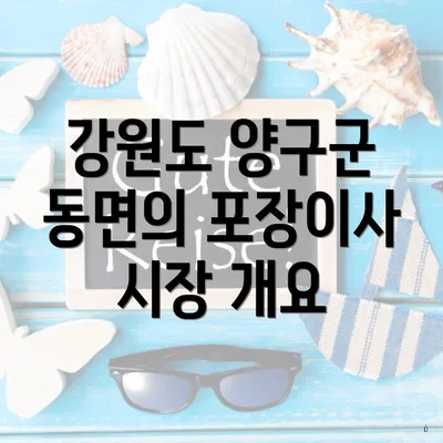 강원도 양구군 동면의 포장이사 시장 개요