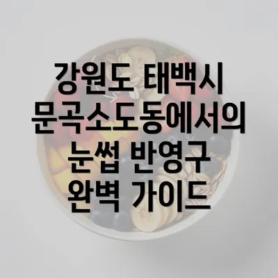 강원도 태백시 문곡소도동에서의 눈썹 반영구 완벽 가이드