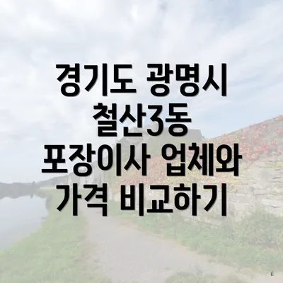 경기도 광명시 철산3동 포장이사 업체의 순위와 추천 서비스