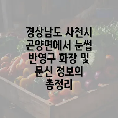 경상남도 사천시 곤양면에서 눈썹 반영구 화장 및 문신 정보의 총정리