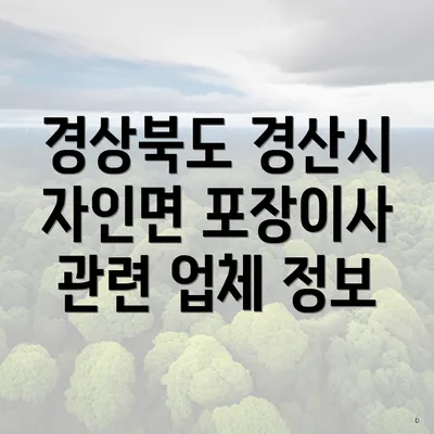 경상북도 경산시 자인면 포장이사 관련 업체 정보