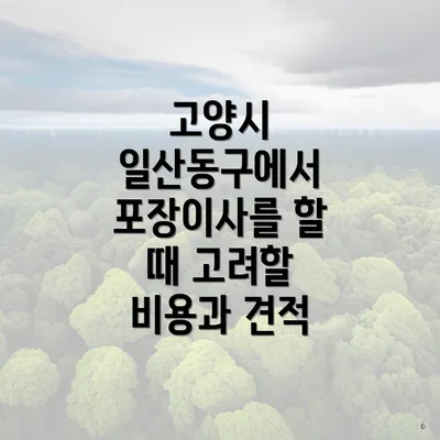 고양시 일산동구에서 포장이사를 할 때 고려할 비용과 견적