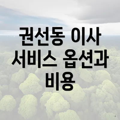 권선동 이사 서비스 옵션과 비용