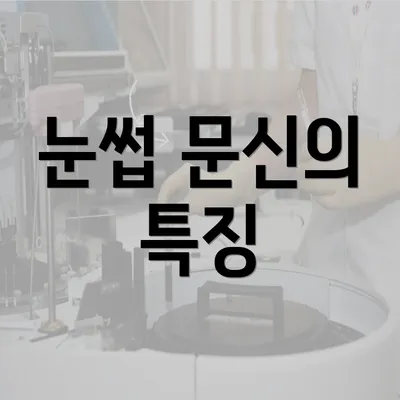 눈썹 문신의 특징