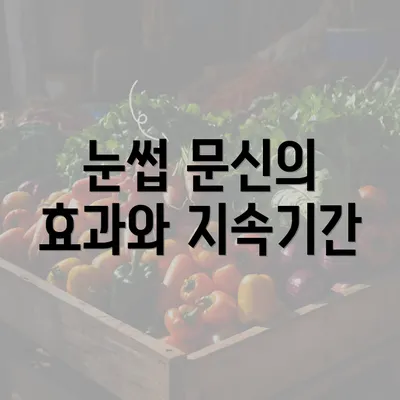 눈썹 문신의 효과와 지속기간