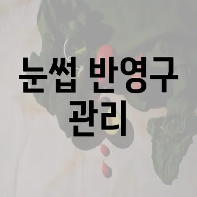 눈썹 반영구 관리