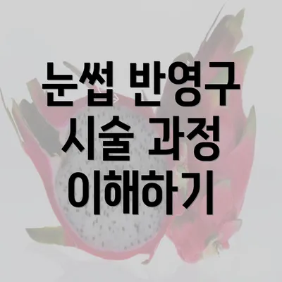 눈썹 반영구 시술 과정 이해하기