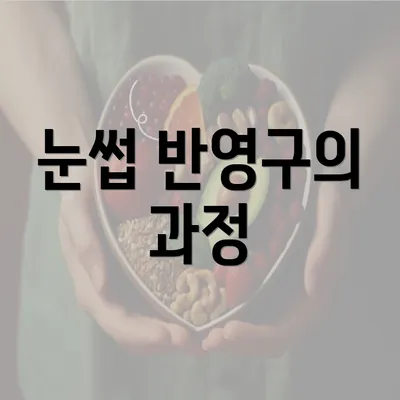 눈썹 반영구의 과정