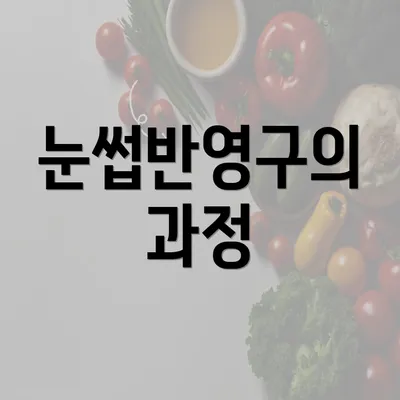 눈썹반영구의 과정