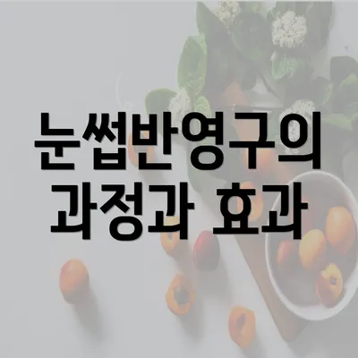 눈썹반영구의 과정과 효과