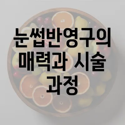 눈썹반영구의 매력과 시술 과정