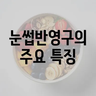 눈썹반영구의 주요 특징