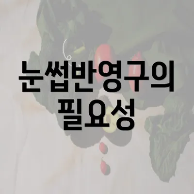 눈썹반영구의 필요성