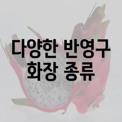 다양한 반영구 화장 종류