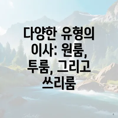 다양한 유형의 이사: 원룸, 투룸, 그리고 쓰리룸