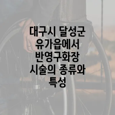 대구시 달성군 유가읍에서 반영구화장 시술의 종류와 특성