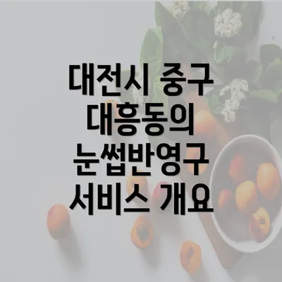 대전시 중구 대흥동의 눈썹반영구 서비스 개요