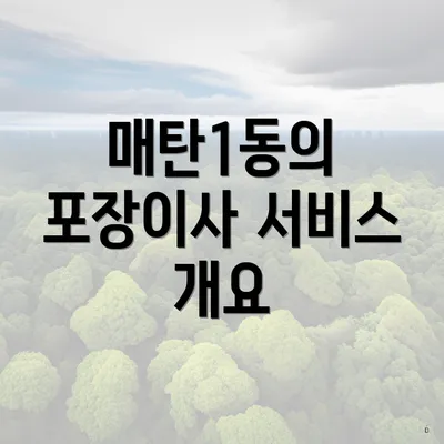 매탄1동의 포장이사 서비스 개요