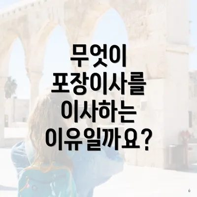 무엇이 포장이사를 이사하는 이유일까요?