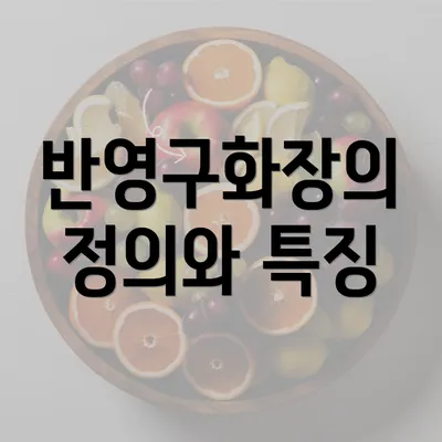 반영구화장의 정의와 특징