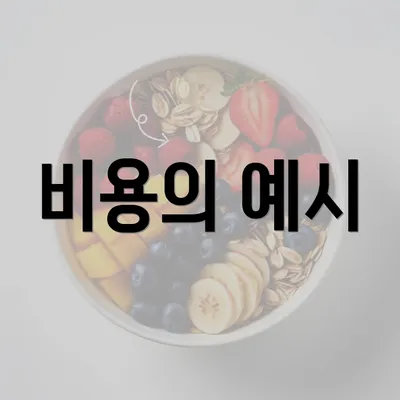 비용의 예시