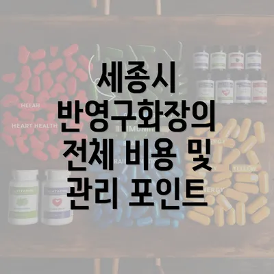 세종시 반영구화장의 전체 비용 및 관리 포인트