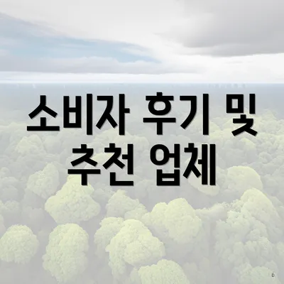 소비자 후기 및 추천 업체