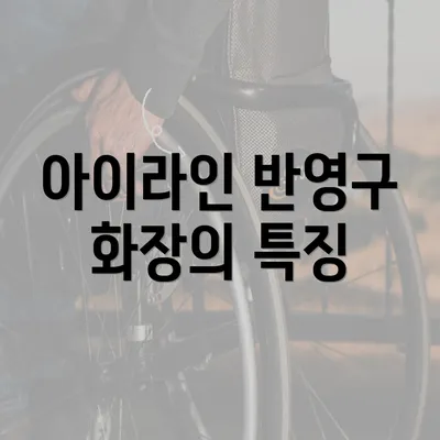 아이라인 반영구 화장의 특징