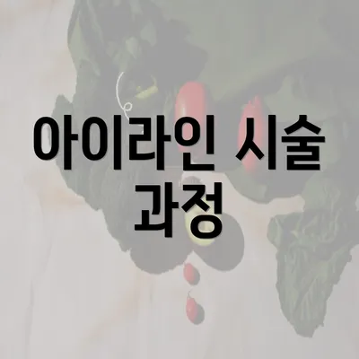 아이라인 시술 과정