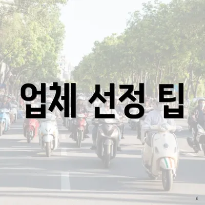 업체 선정 팁