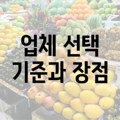 업체 선택 기준과 장점